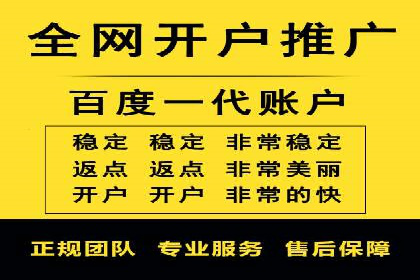 行业领先企业如何运用SEM进行精准营销